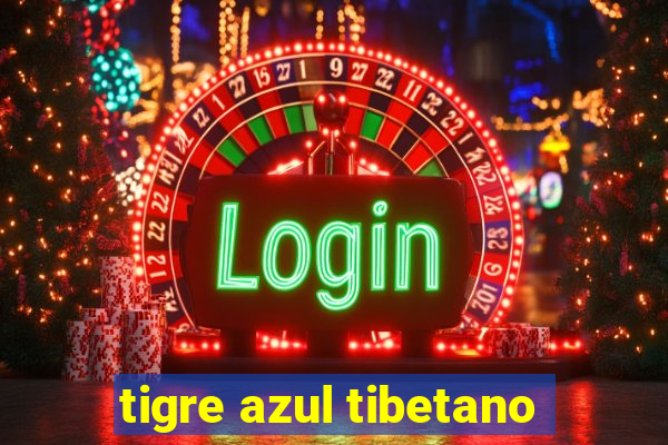 tigre azul tibetano