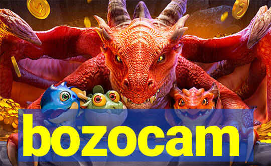 bozocam