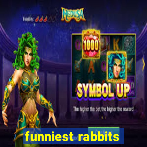 funniest rabbits