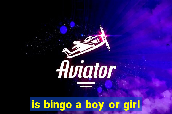 is bingo a boy or girl