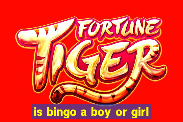 is bingo a boy or girl