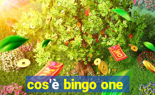 cos'è bingo one