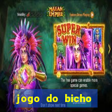 jogo do bicho ceara de ontem