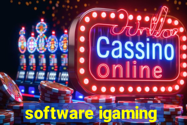 software igaming