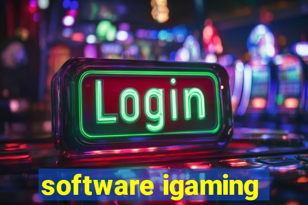 software igaming