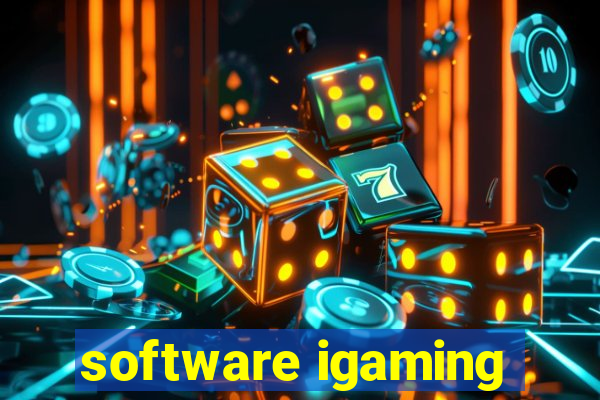 software igaming