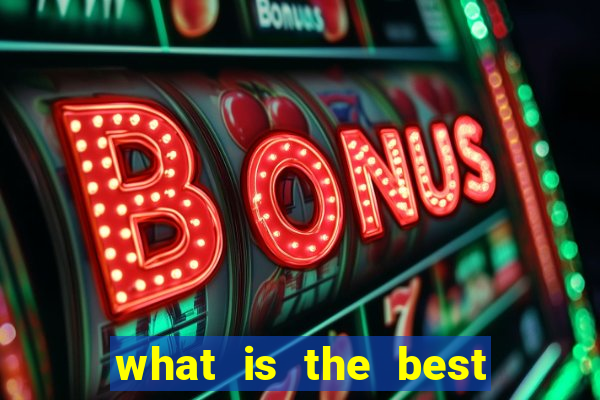 what is the best bingo site