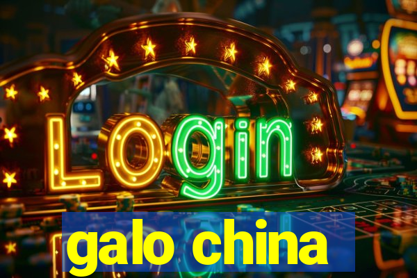 galo china