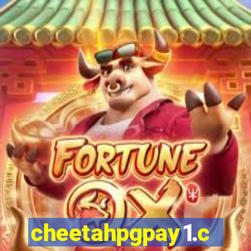 cheetahpgpay1.com