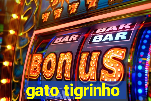 gato tigrinho