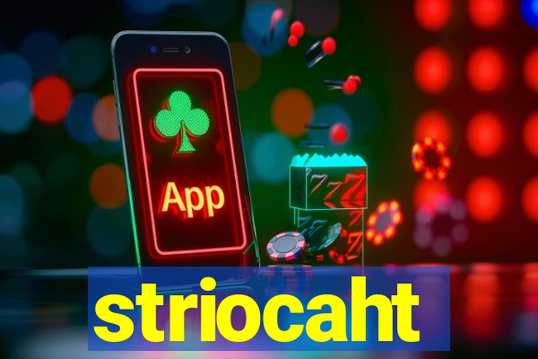 striocaht