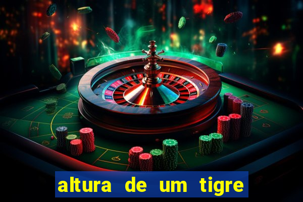 altura de um tigre em pé