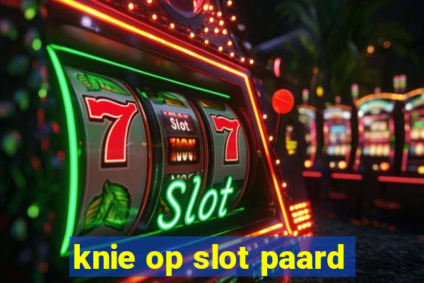 knie op slot paard