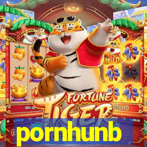 pornhunb