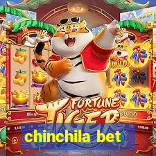 chinchila bet