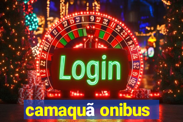 camaquã onibus