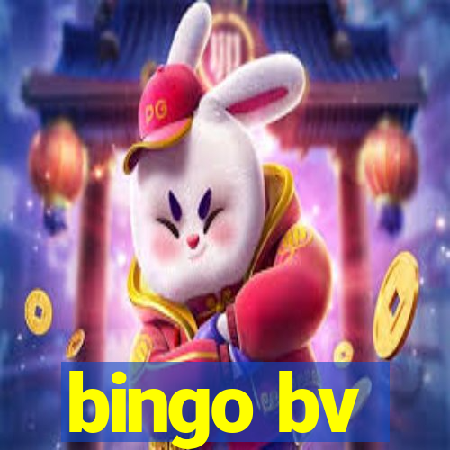 bingo bv