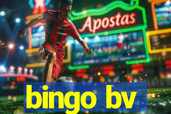 bingo bv