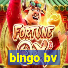 bingo bv