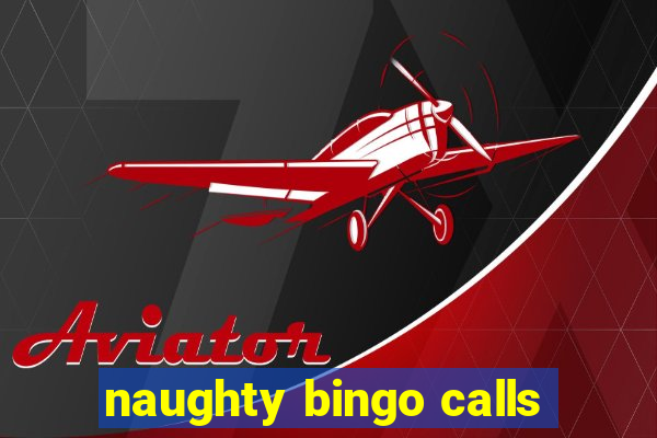 naughty bingo calls