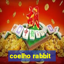 coelho rabbit