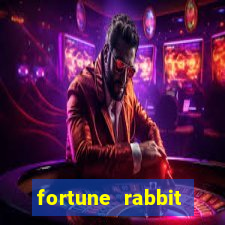 fortune rabbit jogar Informational