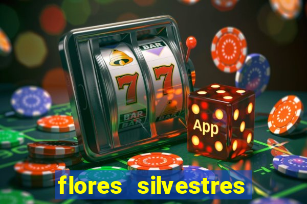 flores silvestres desbravadores desbravadores 25 flores silvestres e seus nomes