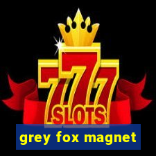 grey fox magnet