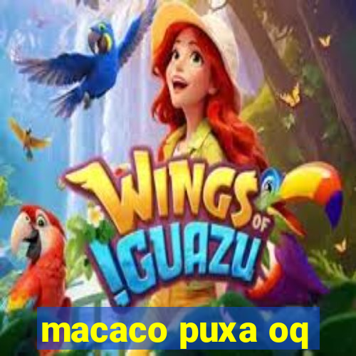 macaco puxa oq