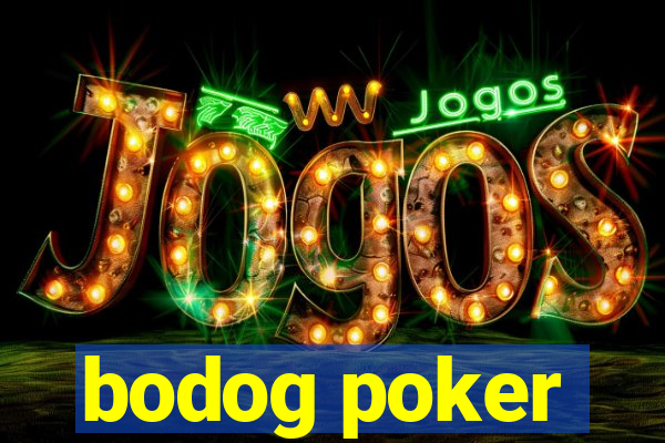 bodog poker