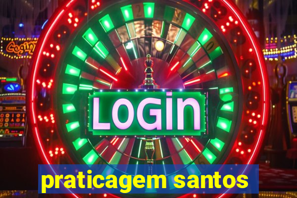 praticagem santos