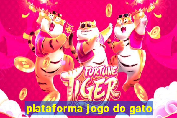 plataforma jogo do gato