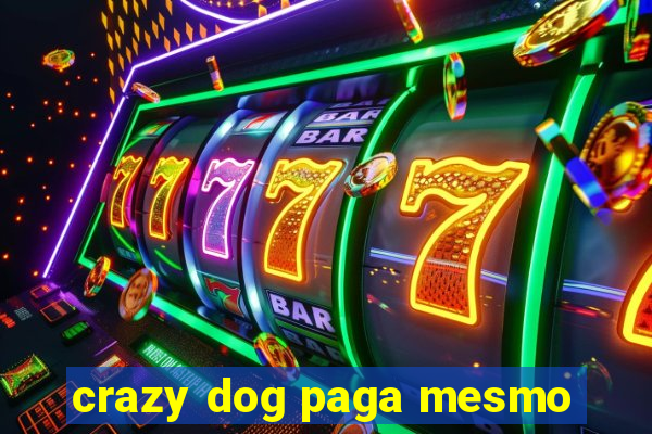 crazy dog paga mesmo