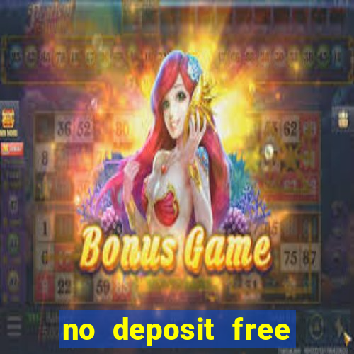 no deposit free bingo bonus