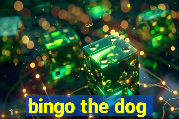 bingo the dog