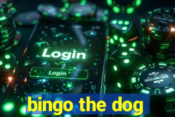 bingo the dog