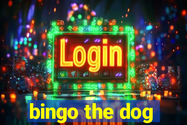 bingo the dog