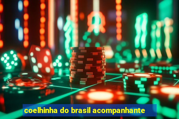 coelhinha do brasil acompanhante