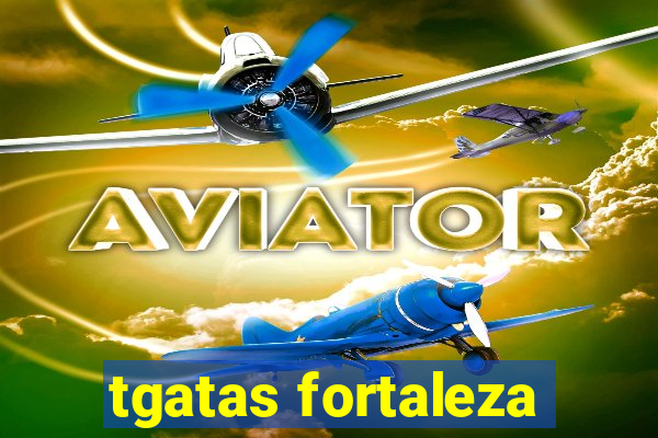 tgatas fortaleza