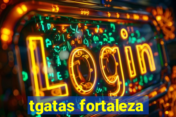 tgatas fortaleza