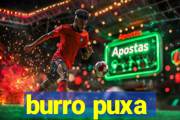 burro puxa