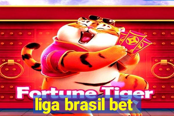 liga brasil bet