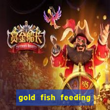 gold fish feeding time treasure slot online