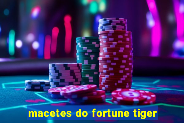 macetes do fortune tiger