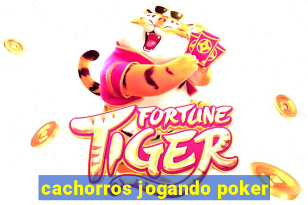 cachorros jogando poker