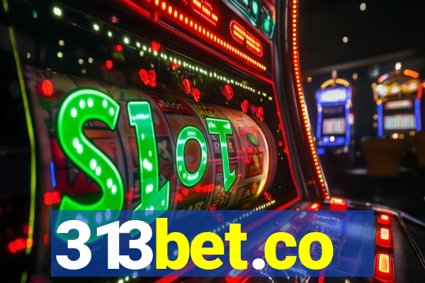 313bet.co