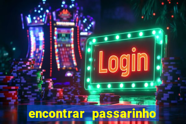 encontrar passarinho morto significado