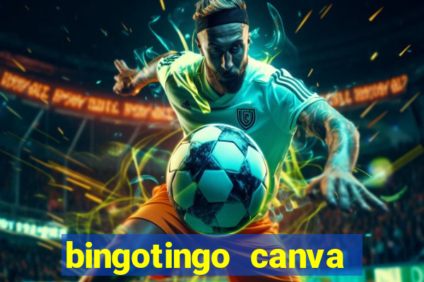 bingotingo canva pro gratis