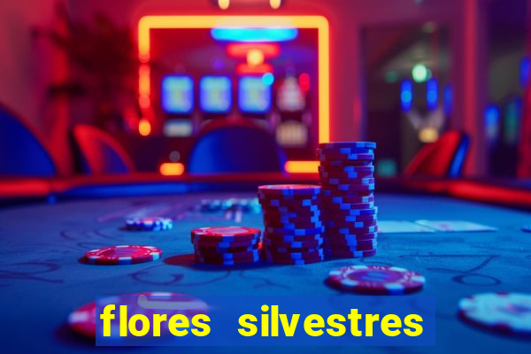 flores silvestres desbravadores desbravadores 25