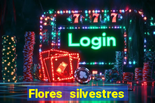 Flores silvestres brasileiras brasileiras flores silvestres nomes e imagens